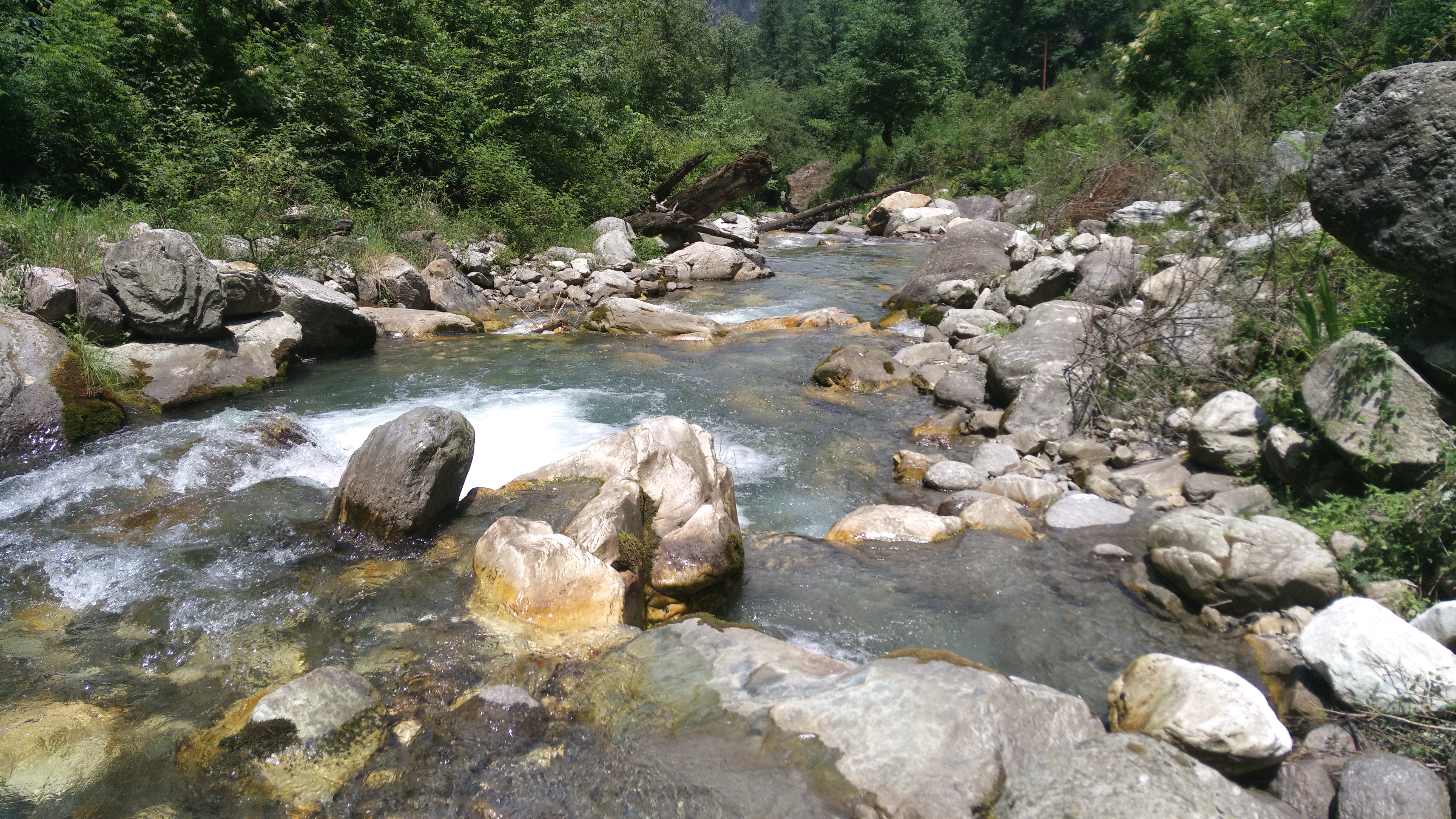 You are currently viewing Giriganga – Kuppar Camping Trail