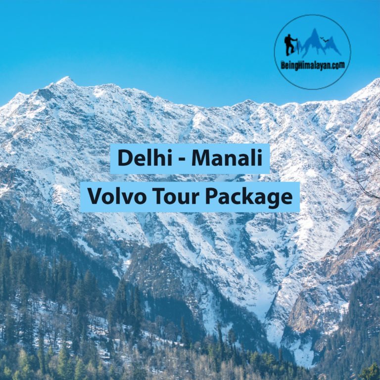 delhi to manali by bus package
