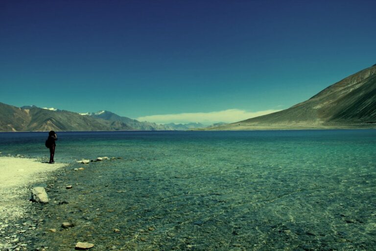 Pangong Lake, Ladakh