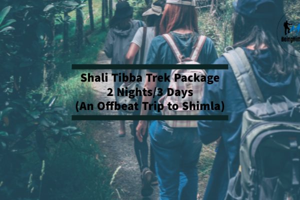 shali tibba trekking package